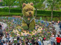 2026上海国际花卉节启幕 巨型西高地犬绿植雕塑亮相