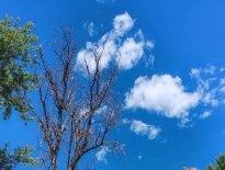 测试页面框架信息测试页面框架信息测试页面框架信息测试页面框架信息测试页面框架信息测试页面框架信息测试页面框架信息测试页面框架信息