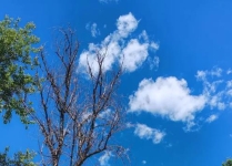 测试页面框架信息测试页面框架信息测试页面框架信息测试页面框架信息测试页面框架信息测试页面框架信息测试页面框架信息测试页面框架信息