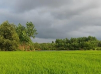 测试页面框架信息测试页面框架信息测试页面框架信息测试页面框架信息测试页面框架信息测试页面框架信息测试页面框架信息测试页面框架信息