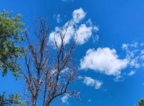 测试页面框架信息测试页面框架信息测试页面框架信息测试页面框架信息测试页面框架信息测试页面框架信息测试页面框架信息测试页面框架信息