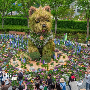 2026上海国际花卉节启幕 巨型西高地犬绿植雕塑亮相