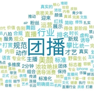 首个“团播”标准发布 标准量化与落地执行成为舆论关注焦点