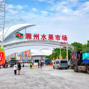 “禁止商户赴滁州水果市场营业”？嘉兴一市场致歉！