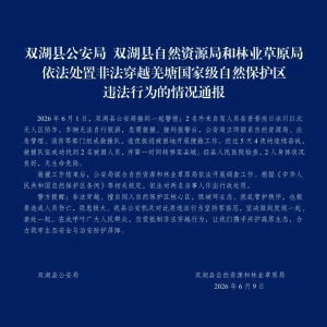西藏双湖通报：2人冰川无人区自驾被困，获救后被罚