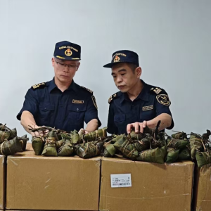 伪装成防雨布出境！海关查出1.6吨、4800个肉粽碱水粽