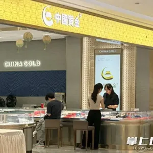 国际金价“高台跳水”，金饰价格较年初下降近400元