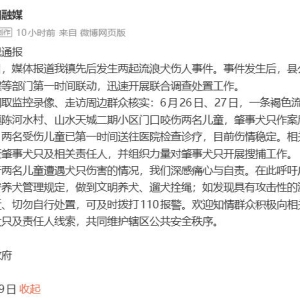 湖北省崇阳县通报“流浪犬伤人事件”：正全力追查肇事犬只及责任人
