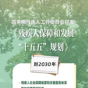 未来五年，我国这样完善残疾人服务保障体系